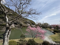 2026年　新年度に向かって